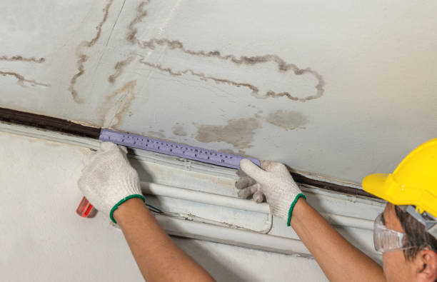 Reliable Water Damage contractor in San Pablo, CA by Water Damage Irwin